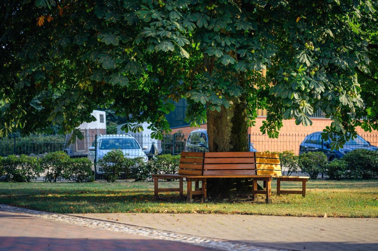 Pferdeparadies Untergruenhagen Бад Фалингбостел Екстериор снимка